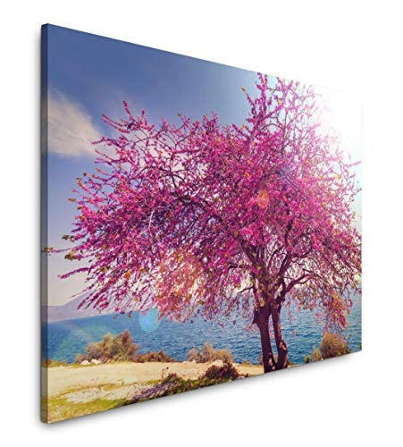 bestforhome 180x120cm Leinwandbild Baum mit pinken Blüten am Meer Leinwand auf Holzrahmen