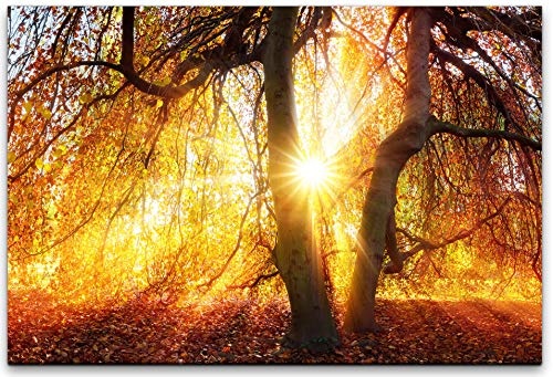 bestforhome 150x100cm Leinwandbild herbstlicher Baum mit gelben Blättern bei Sonnenschein Leinwand auf Holzrahmen