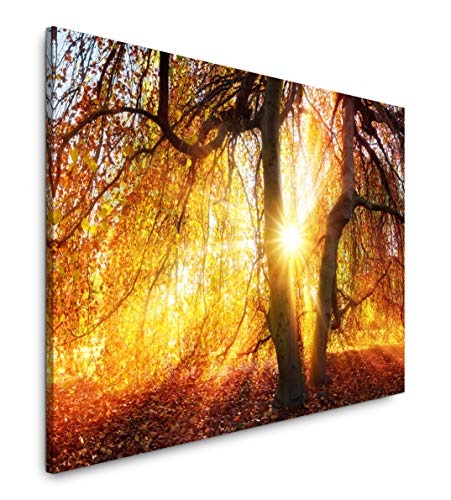 bestforhome 150x100cm Leinwandbild herbstlicher Baum mit gelben Blättern bei Sonnenschein Leinwand auf Holzrahmen