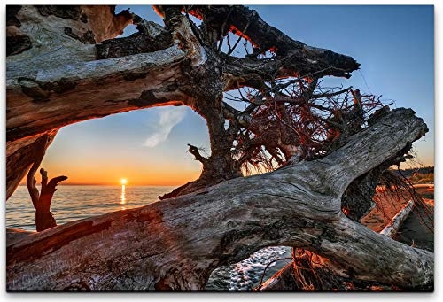 bestforhome 150x100cm Leinwandbild alte Bäume am Strand bei Sonnenuntergang Leinwand auf Holzrahmen