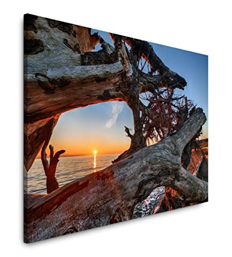 bestforhome 150x100cm Leinwandbild alte Bäume am Strand bei Sonnenuntergang Leinwand auf Holzrahmen