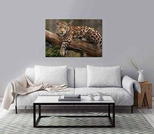 bestforhome 150x100cm Leinwandbild Jaguar auf einem Baum AST Leinwand auf Holzrahmen