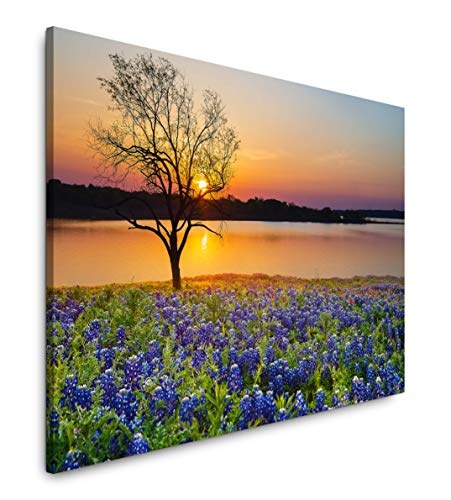 bestforhome 180x120cm Leinwandbild Blaue Blumen und einzelner Baum am See bei Sonnenuntergang Leinwand auf Holzrahmen