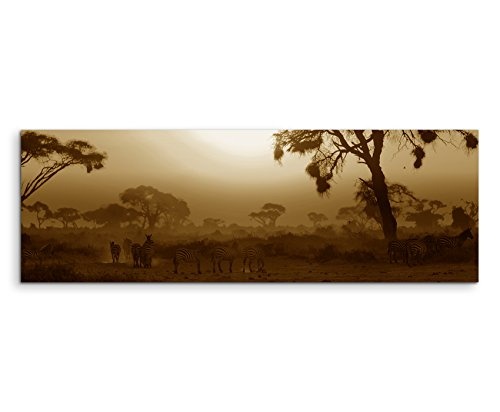 150x50cm Wandbild Panorama Fotoleinwand Bild in Sepia afrikanischen Sonnenuntergang Akazie Bäume Masai Mara, Kenia