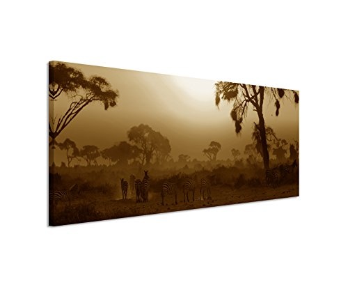 150x50cm Wandbild Panorama Fotoleinwand Bild in Sepia afrikanischen Sonnenuntergang Akazie Bäume Masai Mara, Kenia