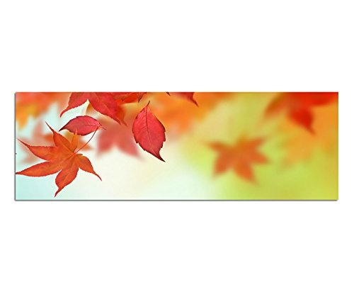 Wandbild auf Leinwand als Panorama in 120x40 cm Der Schöne Herbst! Rote Blätter vom Ahorn- Baum im Wind! Qualität von bestforhome!