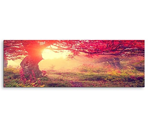 Modernes Bild 150x50cm Landschaftsfotografie - Baum im malerischen Herbstlicht