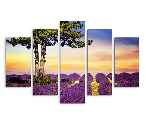 Modernes Bild 150x100cm Landschaftsfotografie - Einsamer Baum im Lavendelfeld