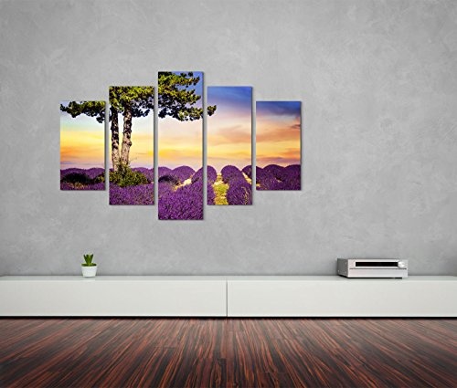 Modernes Bild 150x100cm Landschaftsfotografie - Einsamer Baum im Lavendelfeld