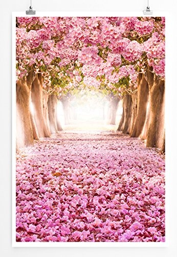 Best for home Artprints - Art - Kirschbaumallee mit rosa Blütenblättern- Fotodruck in gestochen scharfer Qualität