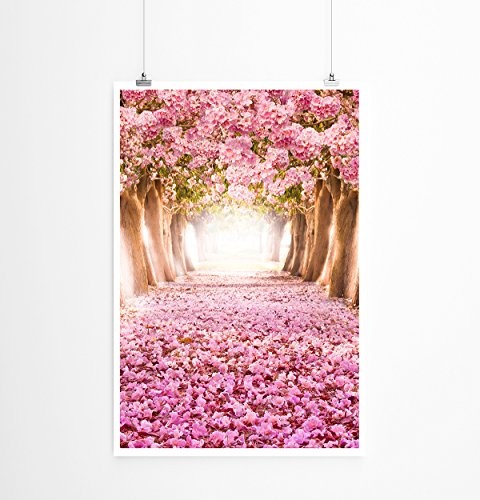 Best for home Artprints - Art - Kirschbaumallee mit rosa Blütenblättern- Fotodruck in gestochen scharfer Qualität
