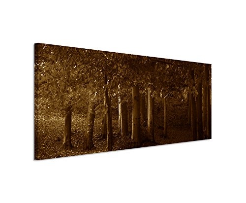 150x50cm Wandbild Panorama Fotoleinwand Bild in Sepia Wald Bäume Herbst