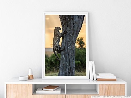 Best for home Artprints - Tierfotografie - Kletternder Leopard am Baum- Fotodruck in gestochen scharfer Qualität