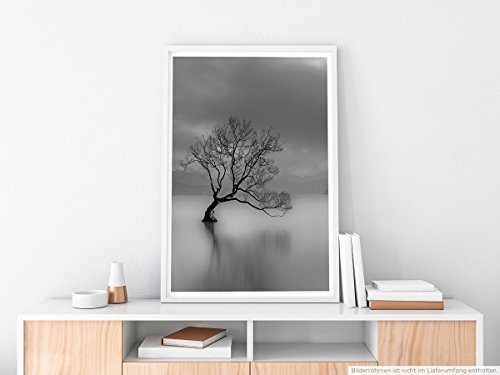 Best for home Artprints - Art - Einsamer Baum am Wanaka...