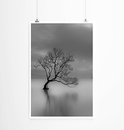 Best for home Artprints - Art - Einsamer Baum am Wanaka See Neuseeland- Fotodruck in gestochen scharfer Qualität
