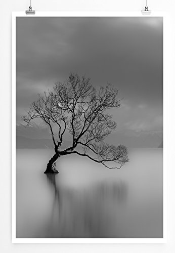 Best for home Artprints - Art - Einsamer Baum am Wanaka See Neuseeland- Fotodruck in gestochen scharfer Qualität