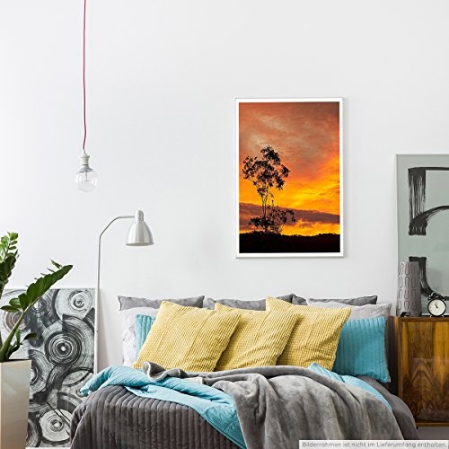 Best for home Artprints - Art - Feuriger Sonnenaufgang mit Baum Australien- Fotodruck in gestochen scharfer Qualität