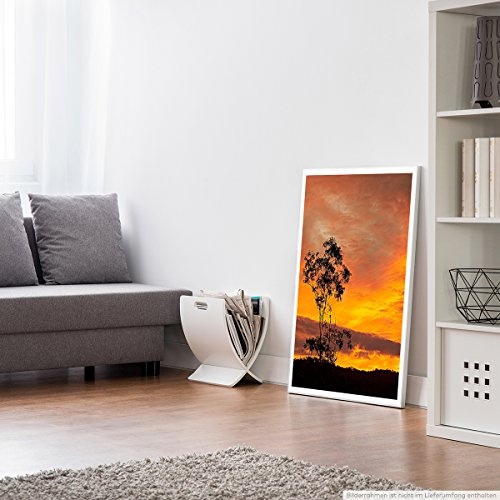 Best for home Artprints - Art - Feuriger Sonnenaufgang mit Baum Australien- Fotodruck in gestochen scharfer Qualität