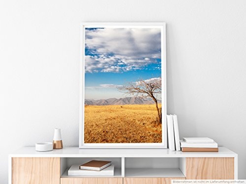 Best for home Artprints - Art - Afrikanischer Baum mit blauem Himmel- Fotodruck in gestochen scharfer Qualität