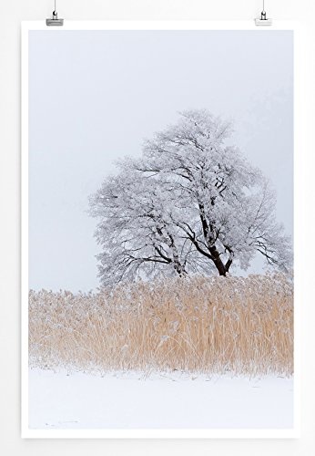 Best for home Artprints - Art - Einsamer Baum am See- Fotodruck in gestochen scharfer Qualität