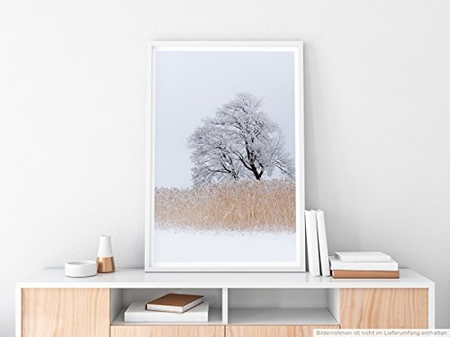 Best for home Artprints - Art - Einsamer Baum am See- Fotodruck in gestochen scharfer Qualität