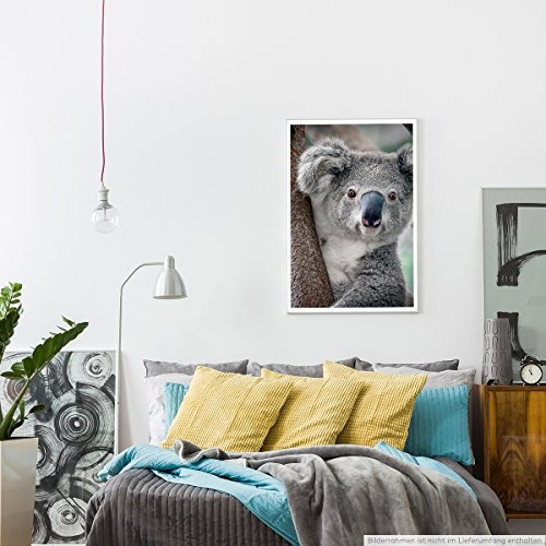 Best for home Artprints - Tierfotografie - Süßer Koalabär am Baum- Fotodruck in gestochen scharfer Qualität