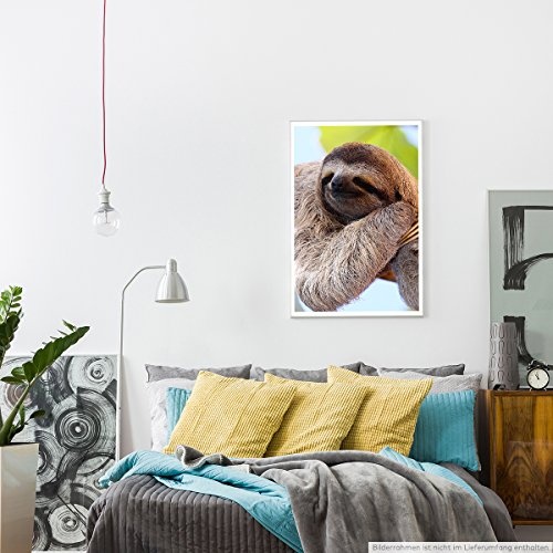 Best for home Artprints - Tierfotografie - Glückliches Faultier am Baum hängend- Fotodruck in gestochen scharfer Qualität