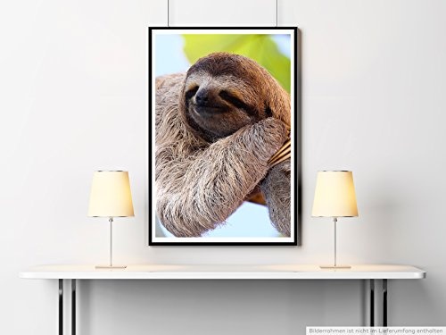Best for home Artprints - Tierfotografie - Glückliches Faultier am Baum hängend- Fotodruck in gestochen scharfer Qualität