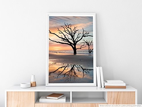 Best for home Artprints - Art - Einsamer Baum im...