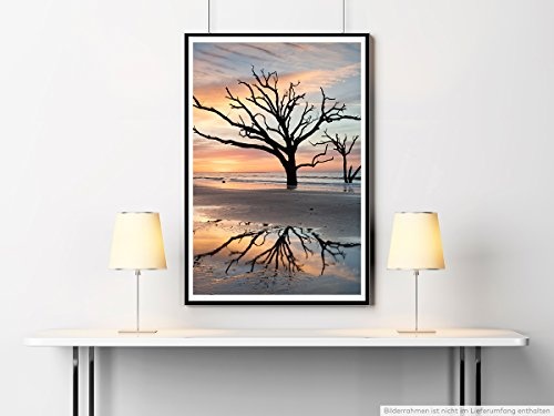 Best for home Artprints - Art - Einsamer Baum im Wattenmeer Edisto Insel- Fotodruck in gestochen scharfer Qualität