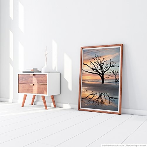 Best for home Artprints - Art - Einsamer Baum im Wattenmeer Edisto Insel- Fotodruck in gestochen scharfer Qualität