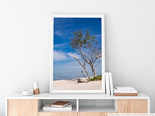 Best for home Artprints - Art - Baum am Baltischen Meer- Fotodruck in gestochen scharfer Qualität