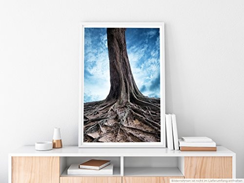 Best for home Artprints - Künstlerische Fotografie - Wurzeln eines alten Baumes - Fotodruck in gestochen scharfer Qualität