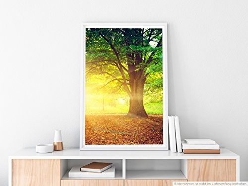 Best for home Artprints - Art - Großer Baum im...