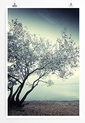 Best for home Artprints - Art - Einsamer Baum am Ufer eines Flusses- Fotodruck in gestochen scharfer Qualität