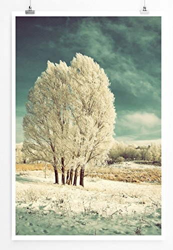 Best for home Artprints - Art - Gefrorene Winterlandschaft mit Baum- Fotodruck in gestochen scharfer Qualität