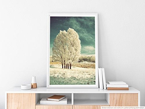 Best for home Artprints - Art - Gefrorene Winterlandschaft mit Baum- Fotodruck in gestochen scharfer Qualität