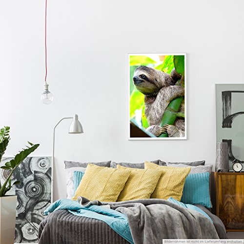 Best for home Artprints - Tierfotografie - Süßes Faultier am Baum- Fotodruck in gestochen scharfer Qualität