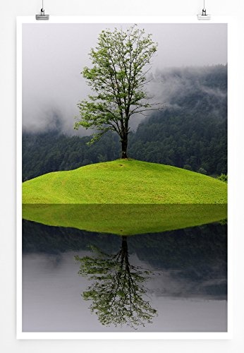 Best for home Artprints - Art - Einsamer Baum auf Wiesenhügel- Fotodruck in gestochen scharfer Qualität
