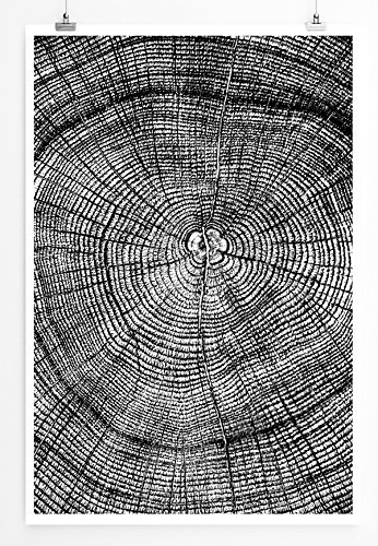 Best for home Artprints - Künstlerische Fotografie - Jahresringe eines Baums- Fotodruck in gestochen scharfer Qualität