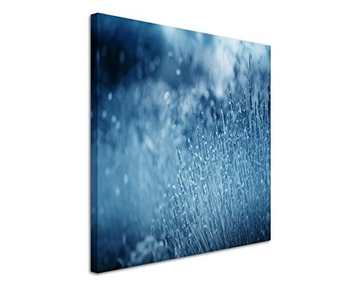 60x60cm Wandbild Fotoleinwand Bild in Blau Lavendel im...