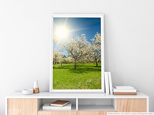 Best for home Artprints - Art - Apfelbäume im...