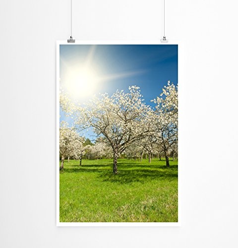 Best for home Artprints - Art - Apfelbäume im Sonnenschein- Fotodruck in gestochen scharfer Qualität