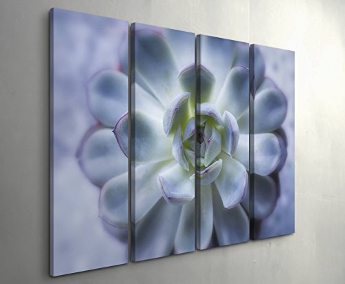 4 teiliges Canvas Bild 4x30x90cm Succulente von oben