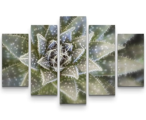 5 teiliges Wandbild auf Leinwand (Gesamtmaß: 150x100cm) Kaktus von oben