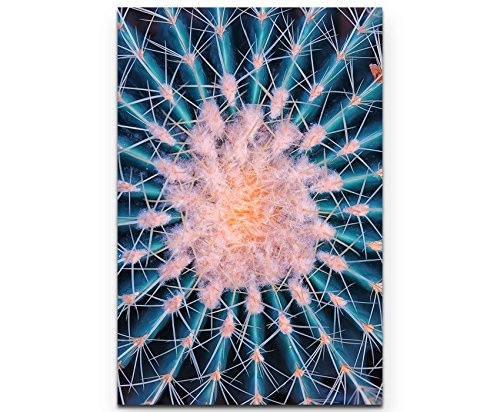 Leinwandbild 90x60cm Makrofotografie - blühender Kaktus