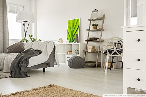 Best for home Artprints - Kunstbild - Grünes Blatt mit Linien- Fotodruck in gestochen scharfer Qualität