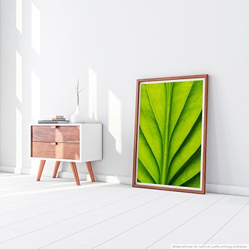 Best for home Artprints - Kunstbild - Grünes Blatt mit Linien- Fotodruck in gestochen scharfer Qualität