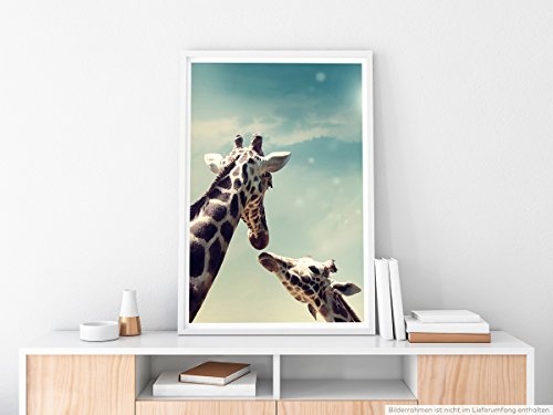 Best for home Artprints - Tierfotografie - Giraffenfamilie Mutter und Kind und Sonne- Fotodruck in gestochen scharfer Qualität