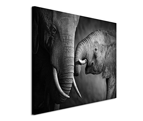 Modernes Bild 120x80cm Tierfotografie - Elefantenmutter...